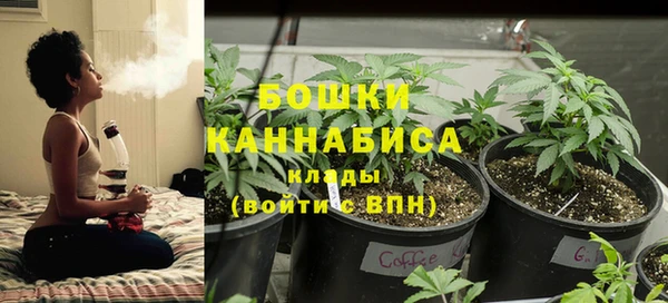 а пвп мука Богданович