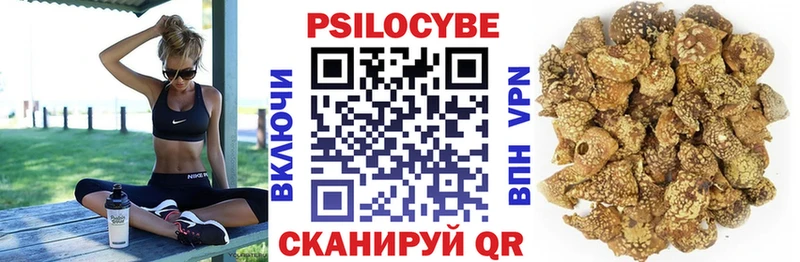 купить  цена  Сретенск  Галлюциногенные грибы MAGIC MUSHROOMS 